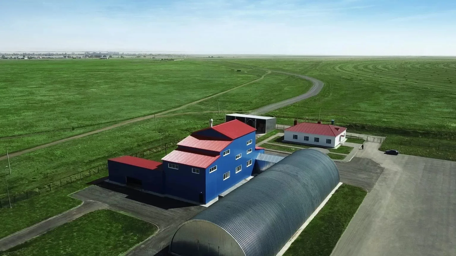 Alfalfa granules high protein 17-21%