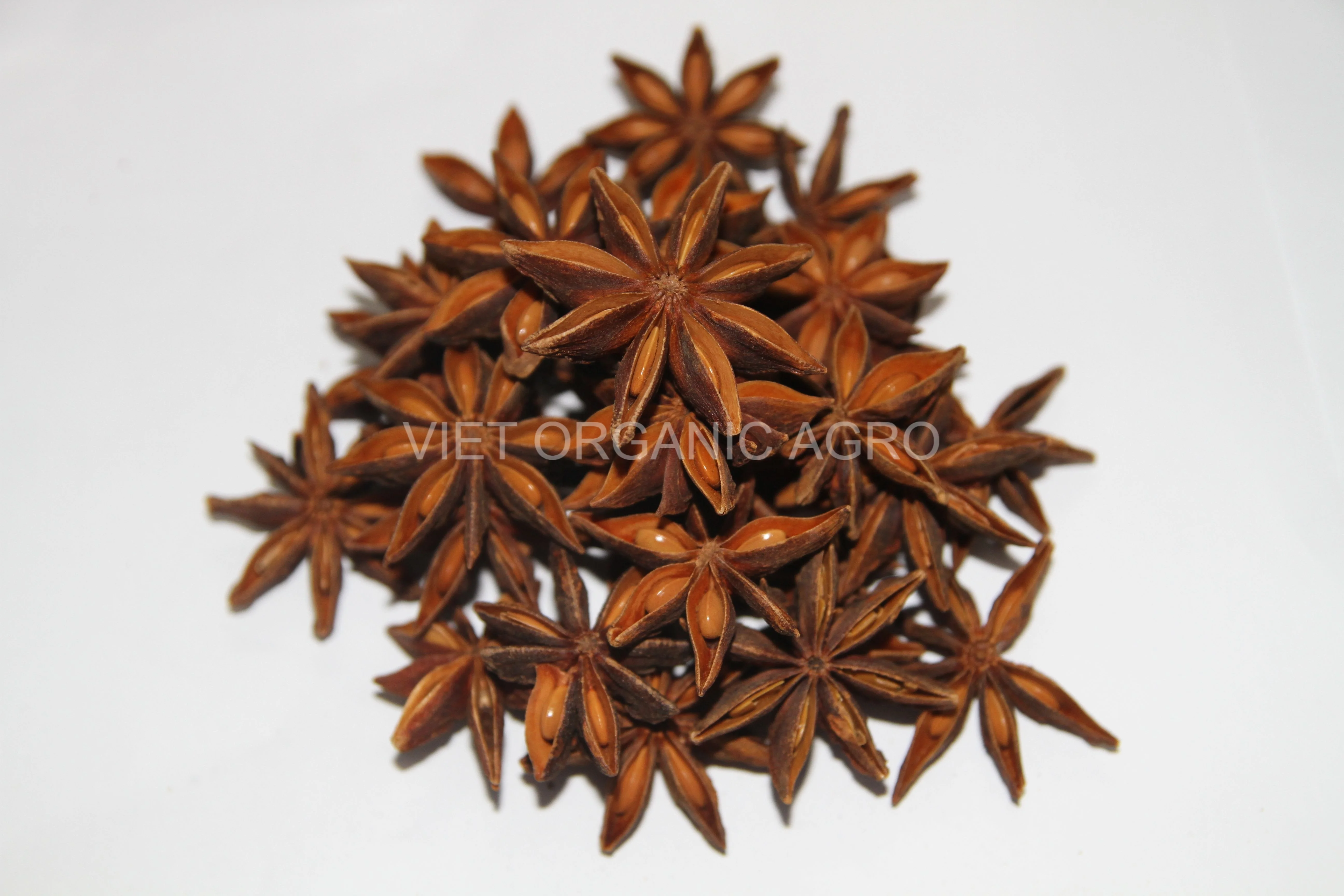 Premium Quality Dried Star Anise - Certified 100% Organic - Spices & Herbs Products Standard Star Anise