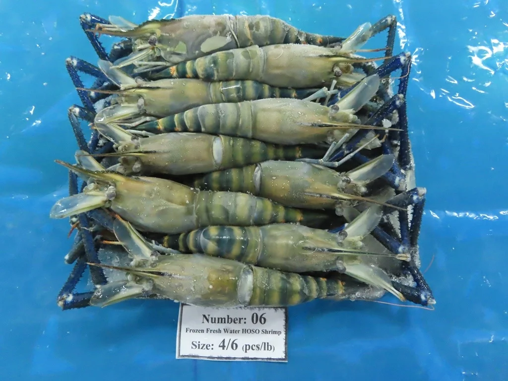 High quality Wholesale Raw HOSO Freshwater Shrimp Shell On made in Vietnam Fresh Seafood ready to ship