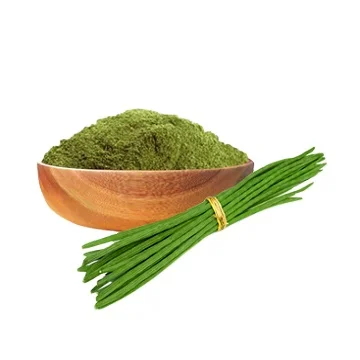 Highly Beneficial Drumstick Extract Organic Powder Cosmetic Grade Dried Drumstick Powder At Factory Price