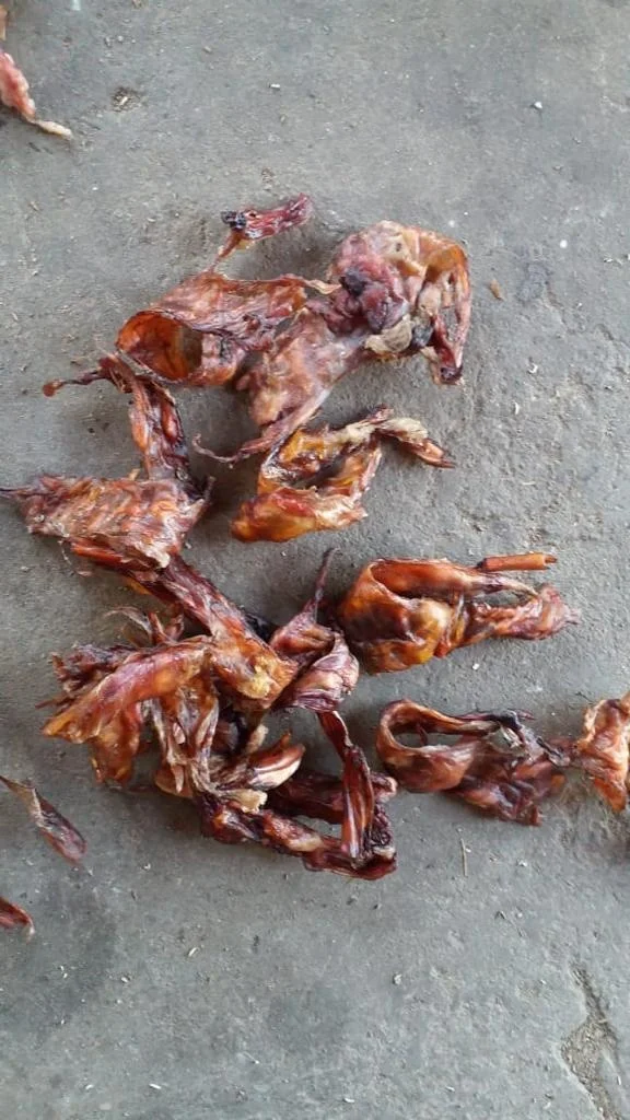 High Nutrition High Protein Dried  Tendon