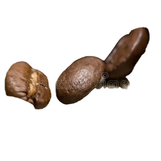 Coffee Beans Italian Taste EXTRA BAR for Vending Machines 1000 G Max Notes Bag Light Packaging Feature Weight