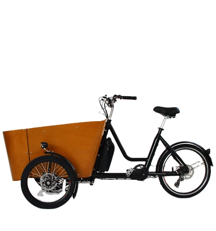 EU China Warehouse Stock Family Three Wheels Electric Cargo Bike Bicycle Electric Tricycle