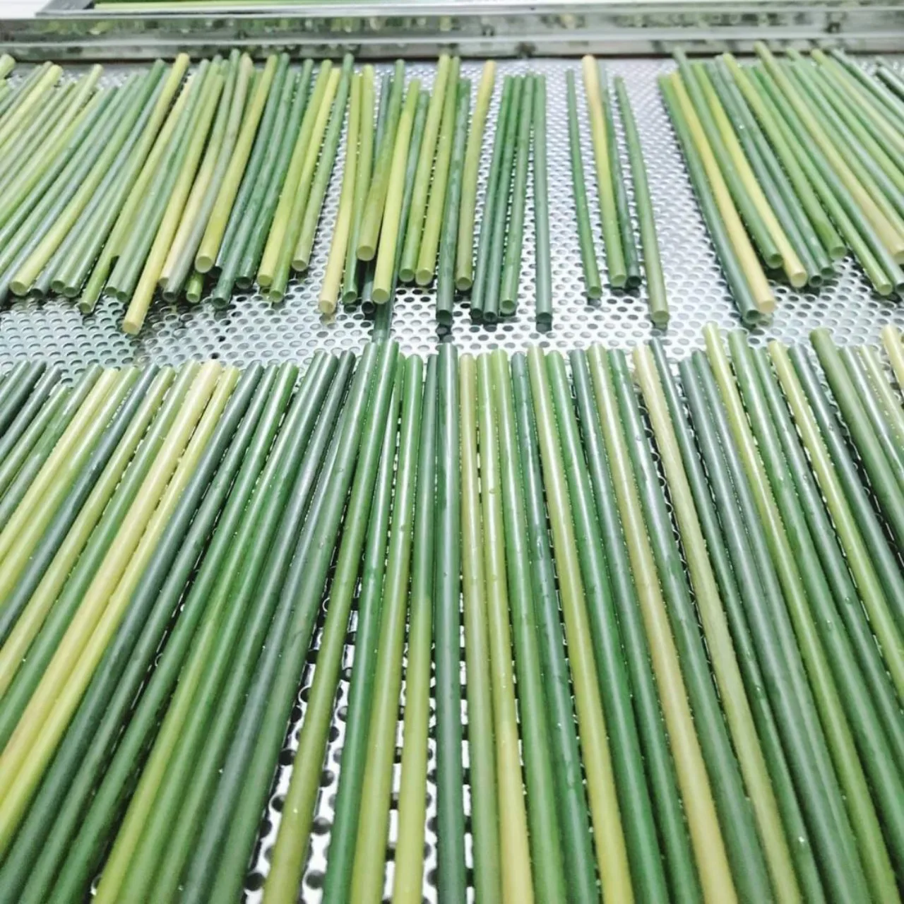 High Quality Disposable Biodegradable Round Grass Straws Eco-Sustainable Drinkware Accessories for Bar Use USA Market