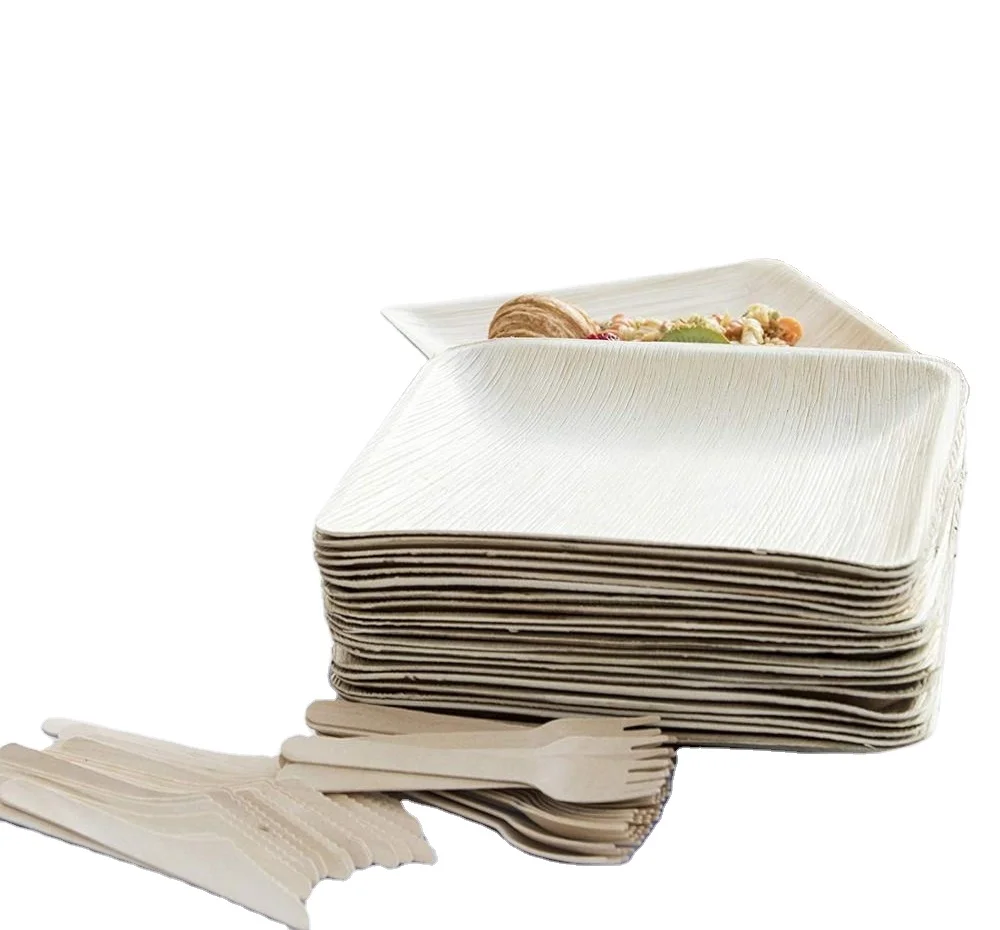 Best Quality Compostable 10 Inch Round Paper Plates Heavy Duty Plate  Palm Leaf Plates Disposable From India Manufacturer