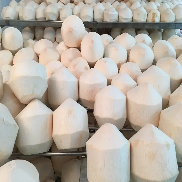 Premium Fresh Coconut from Vietnam 100% Natural Premium Grade of Fresh Coconut The Best Seller