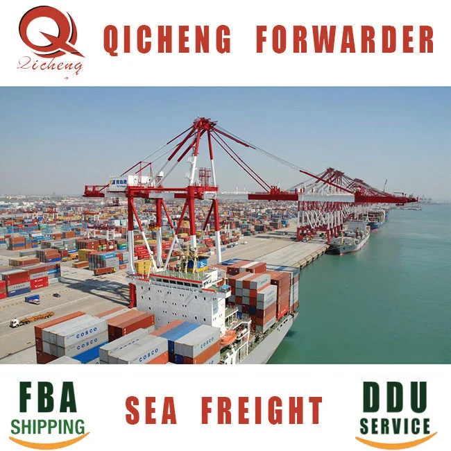QCYT Professional Freight Forwarder DDP DDU CIF FOB DAP From China To Saudi Arabia By Sea Shipping
