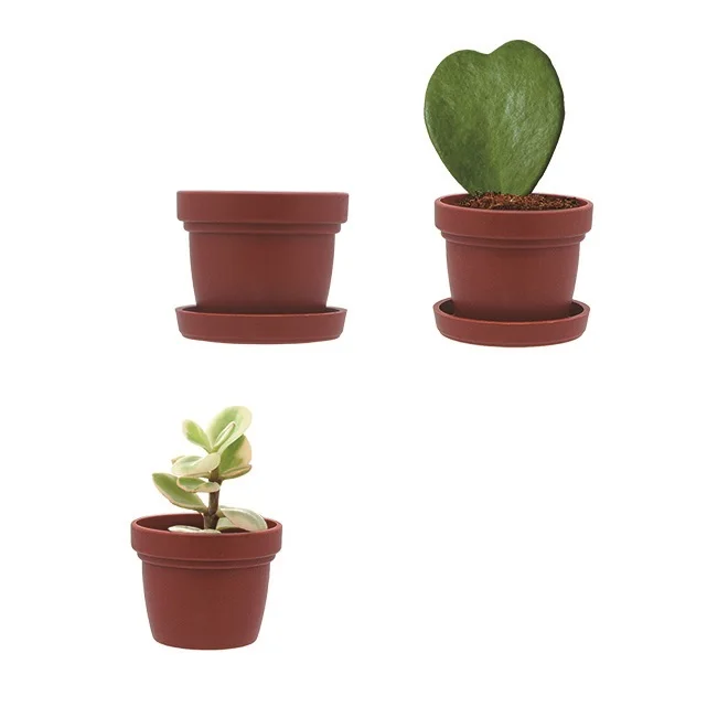 Min planter pots for potted succulents