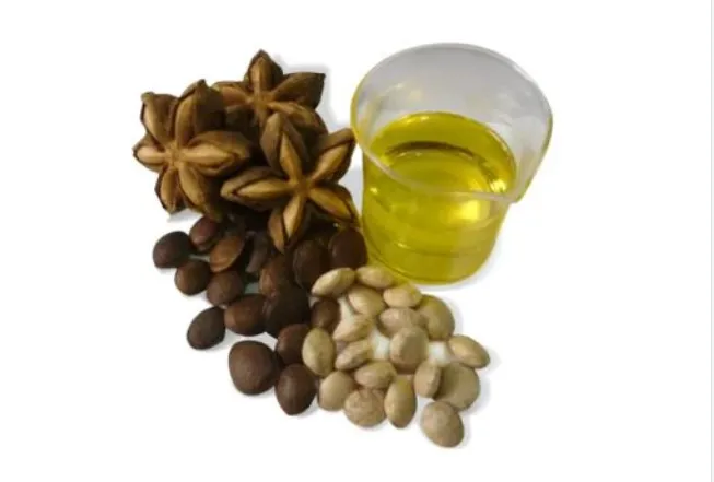 BEST PRICE | Dried Sacha Inchi Nuts/ Inca Peanut with high quality from Viet Nam
