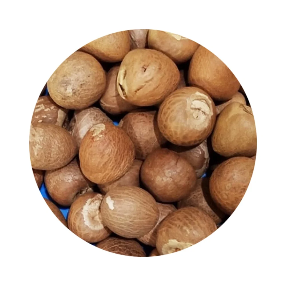 Best Selling Export Quality Areca Whole Betel Nut High Quality Betel Nuts Products From Thailand