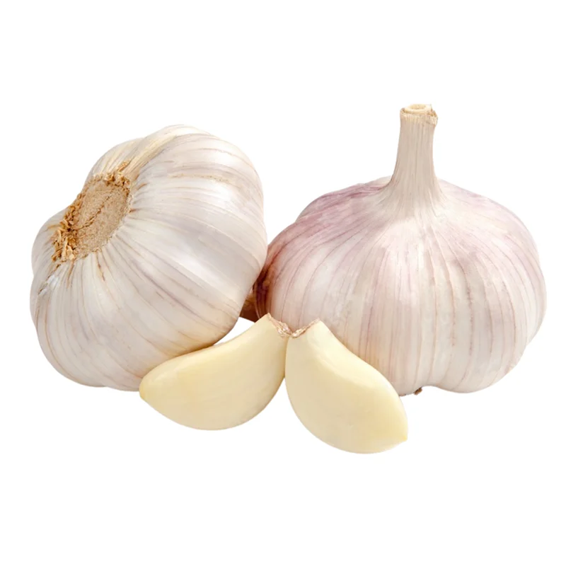 Top Product Dried Garlic Ready To Ship High Quality From Vietnam Dried Garlic For Cooking