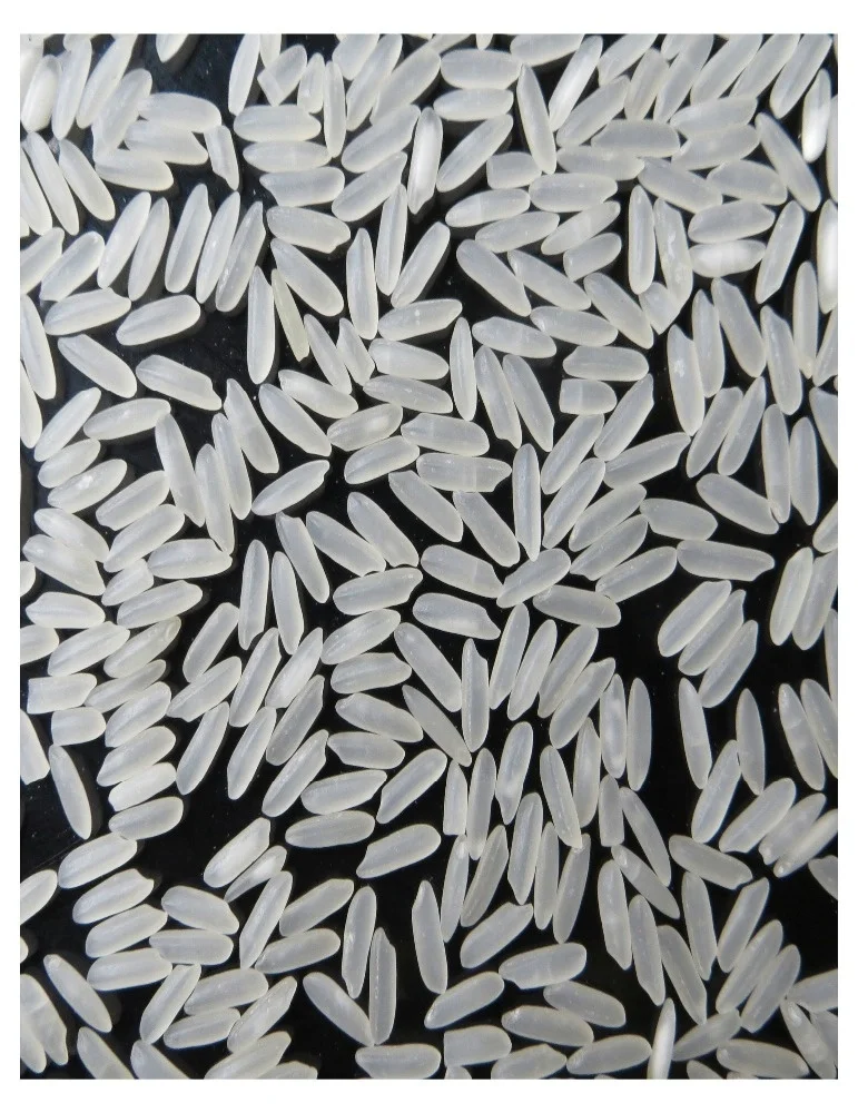 JASMINE RICE FROM VIETNAM, HIGH QUALITY, BEST PRICE, CROP 2025  (used for main dishes in Asia, etc.