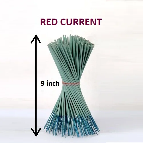 Natural Red current Incense Sticks Wholesale Supply at Leading Price (Green )