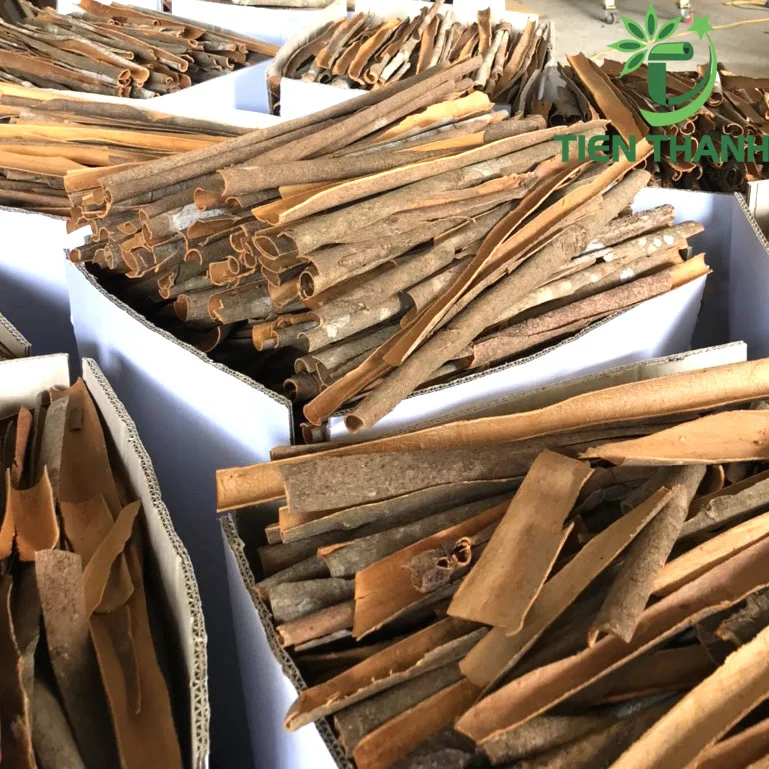 2022 NEW Dried Split Cassia Cinnamon / Dried Split Dalchini From Factory in Vietnam
