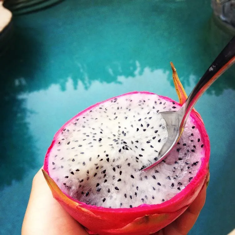 Wholesale Premium Quality Cheap Price White Red Fresh DRAGON FRUIT From Viet Nam