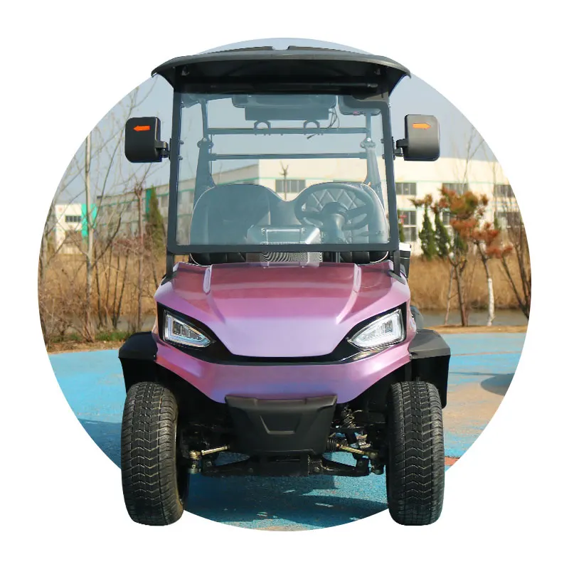Hunting Club Car Buggy Scooter 4 Wheel Disc Brake Max 100Km Golf Cart 2 Seater