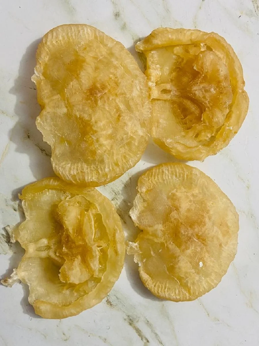 Premium Quality Cat Fish Maw Wholesale Organic Catfish Maw Big Size 50-250gm Dried Fish Maw in Bulk From Bangladesh