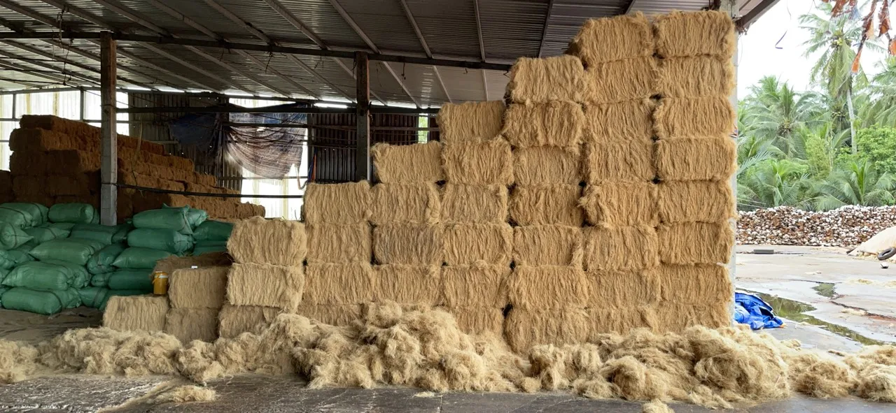 Hot sale!!! Export Coconut coir Fiber 100% Natural Coconut Fiber for mattress Premium quality Brownish yellow made in Viet Nam