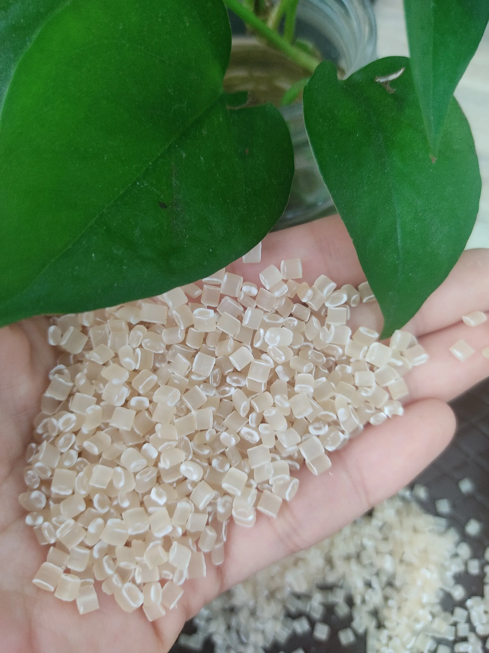Bio  Biodegradable PLA  Pellet Resin from tapioca starch for Bio Bag, cup