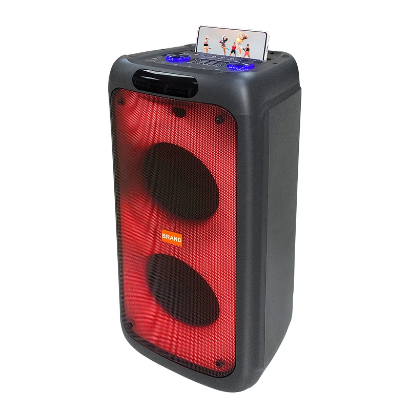 Popular Factory Outdoor Sports Portable Speaker Rechargeable LED Light Echo Dj Party Karaoke Speaker with Mic
