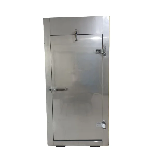 Customized Size For Cold Room Uses Door Manufacturer Premium Grade Stainless Steel Cold Storage Door