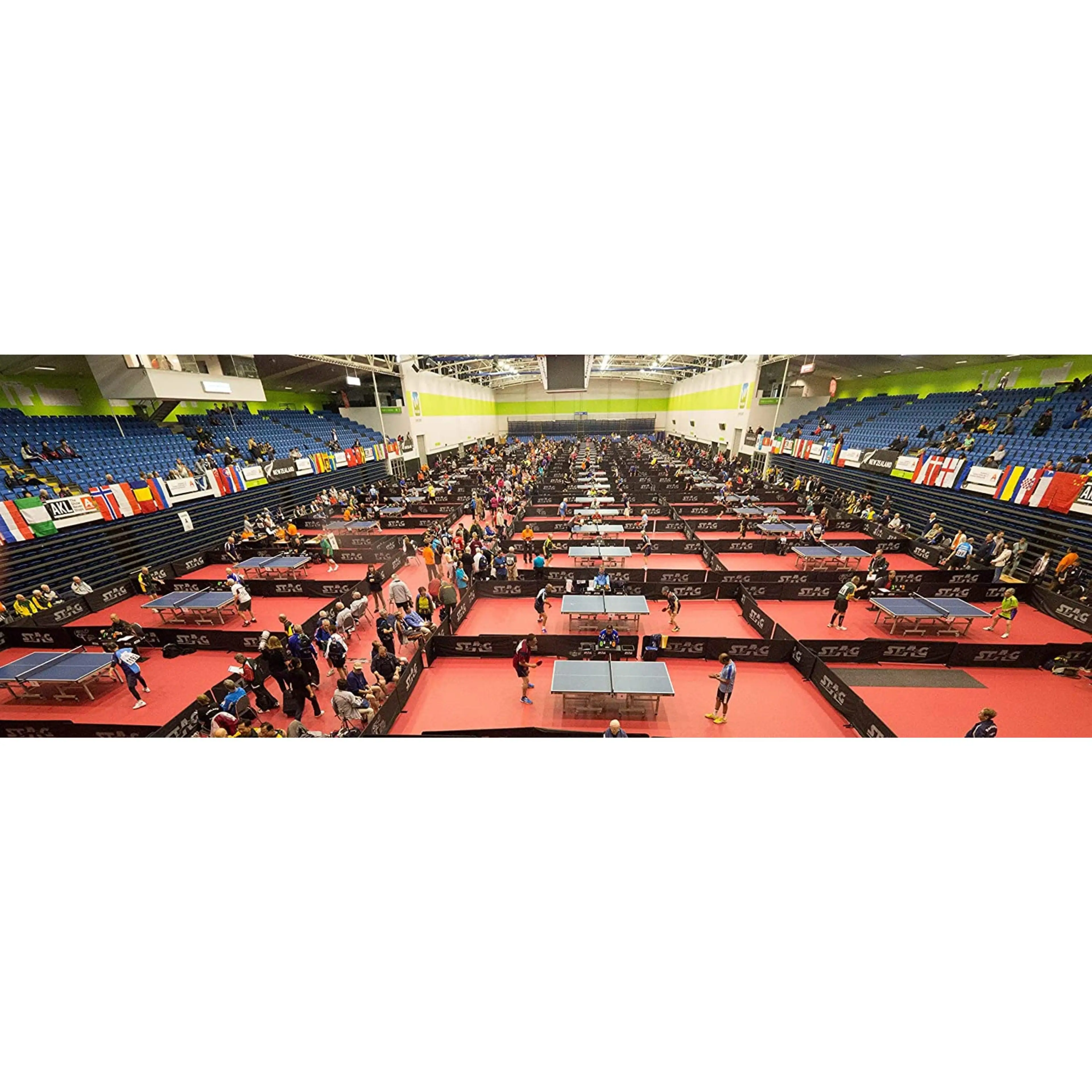 Professional Stag Table Tennis Surround Arena High Quality Table Tennis Products