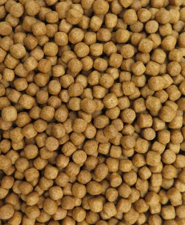 Marine Fish Floating and Sinking Pellet Feed Accelerated Growth Formula with High-Quality Protein 20kg/bag Exported from Vietnam