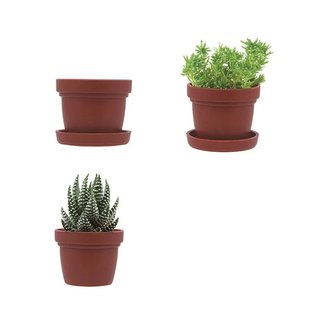 Min planter pots for potted succulents