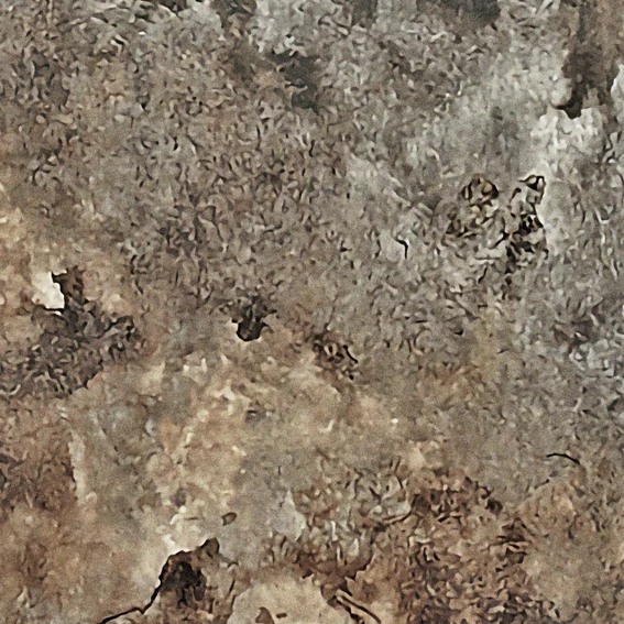 Eco-friendly and Colorful wall decoration Wallpaper with multiple functions made in Japan