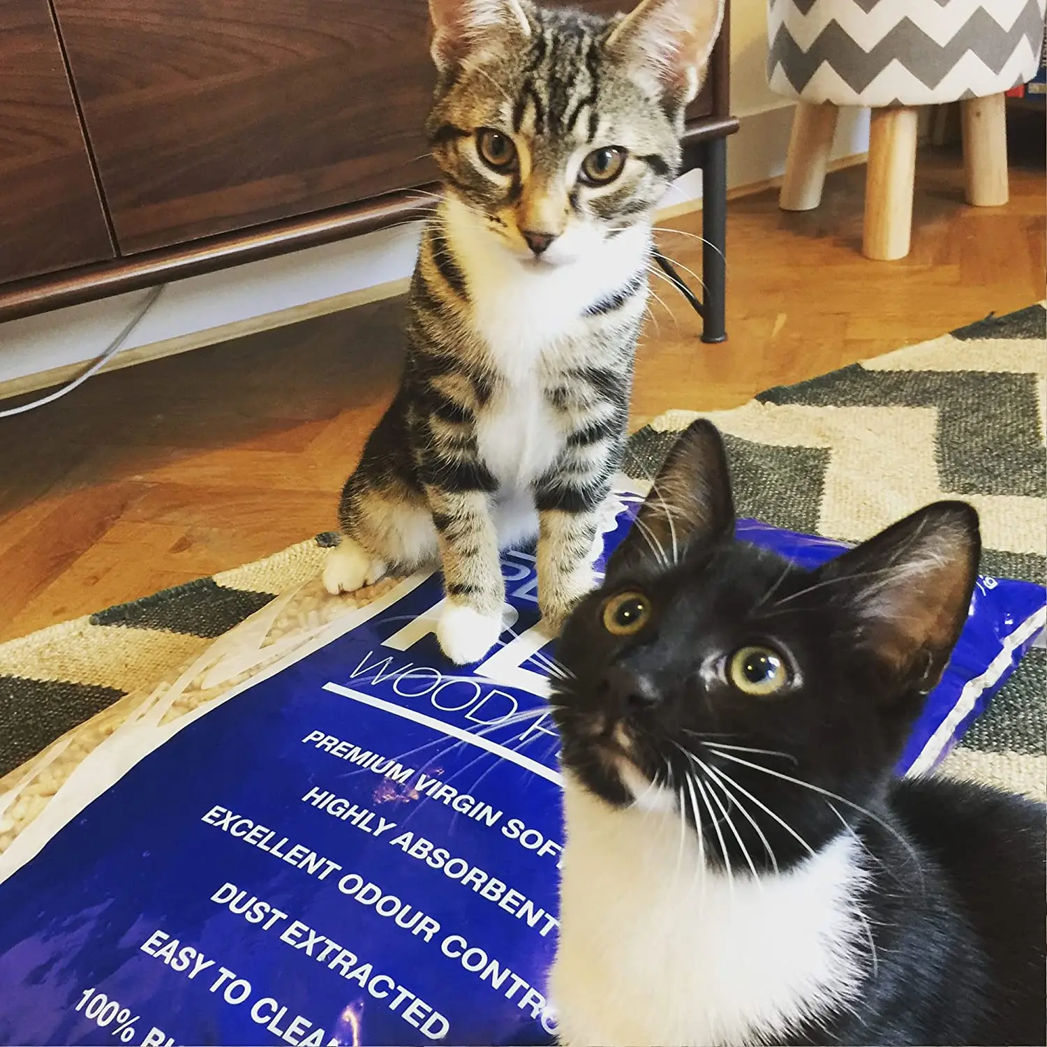 Eco-Friendly Platinum Plus Cat Litter Premium Pine Wood Pellets 1x 30L Bag Kind to Paws for Cat & Kitten