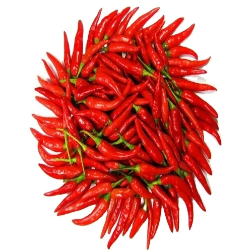 Wholesale Nature Herbs and Spice Red Dried Chili - 100% Organic Single Spices Dried Chili From VietNam