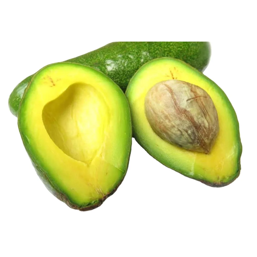 Hot Sale Hass Vietnamese Premium Distributors Avocados Price Natural Cold Storage Fruits Fresh