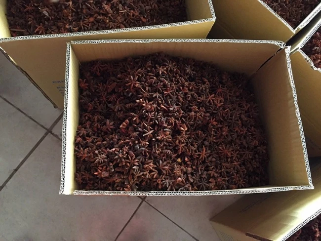 Star Anise 2022 оптовая продажа с завода Заказные специи сушеные осенние звезды Aniseeds сделано во