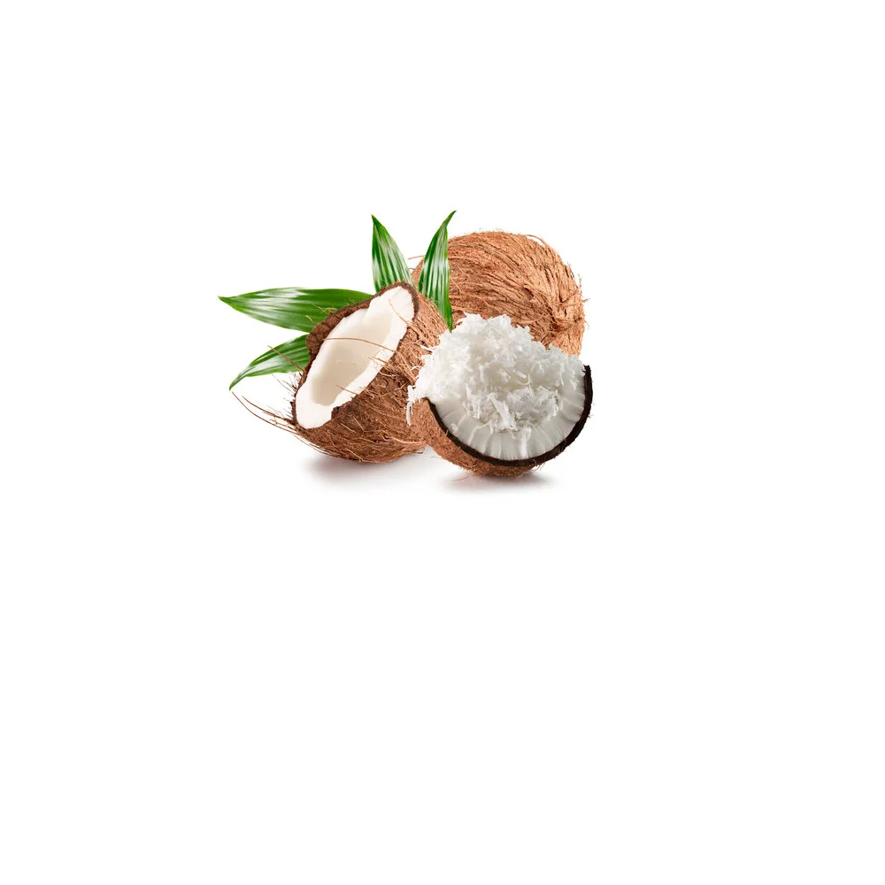 Dried Spices & Seasonings Vietnam original Cashew Seeds Cashew nuts without shell skin wholesales price to export