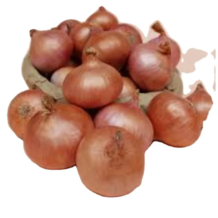 Bombay Golden OnionBest Price for Quality Fresh  for Fresh Vegetables Golden Onion Onion Bombay Golden OnionExporters from india