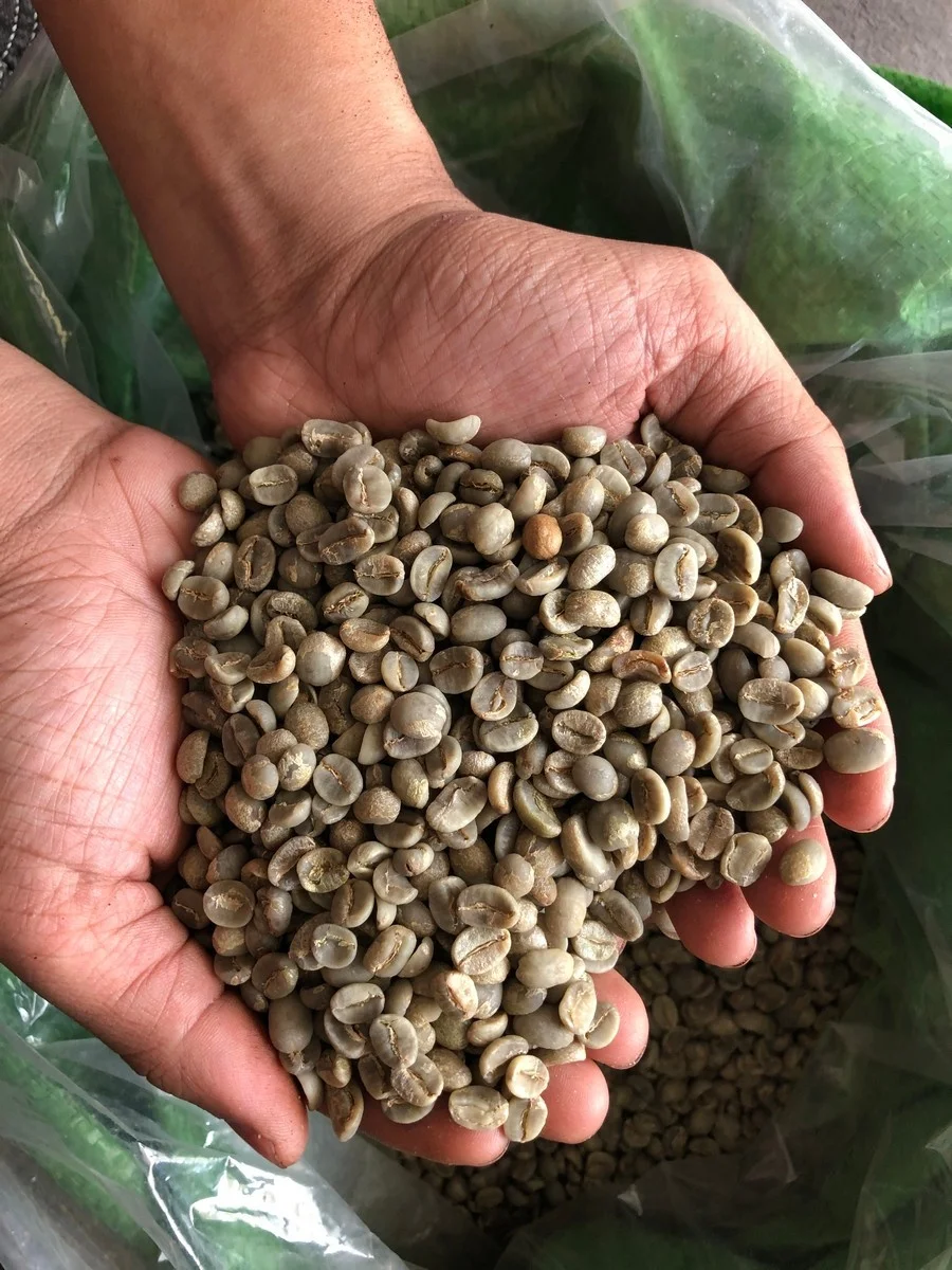  Высококачественный новый урожай 2021 Arabica Cau Dat Wet S18 кофе Вьетнам кофейные