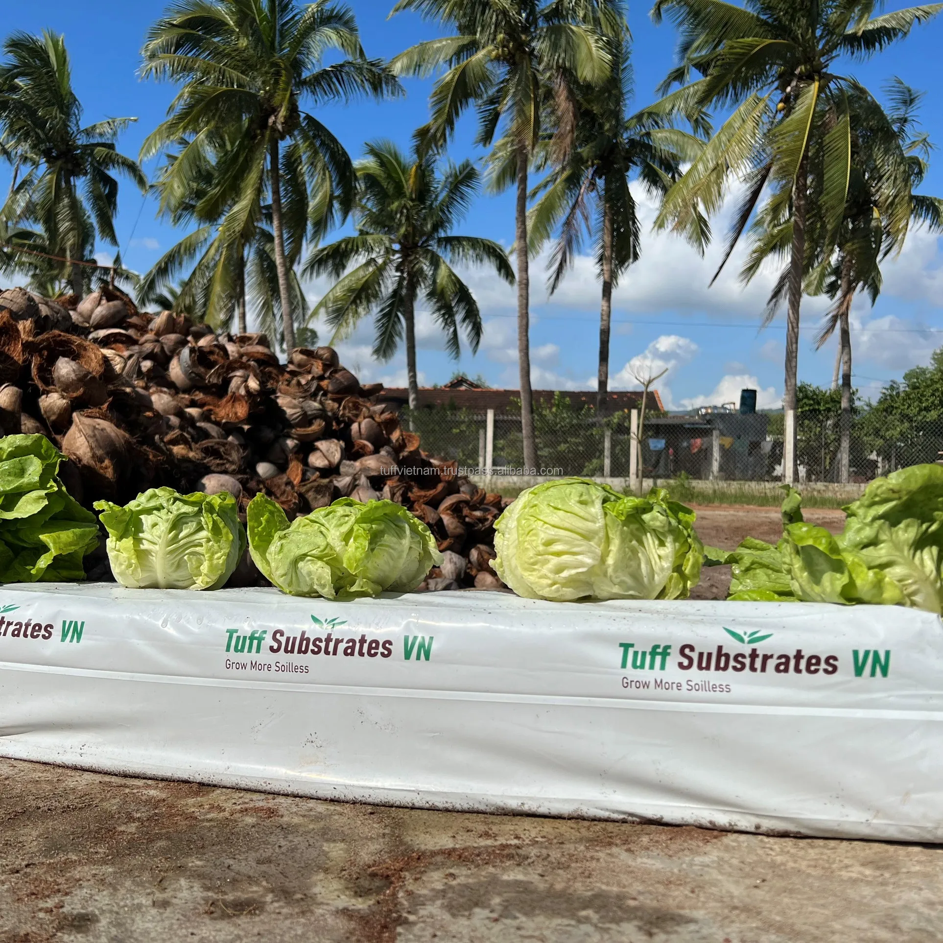 Cocopeat Growbag 28L Coconut Fiber / Peat Moss For Sale Grow Bags For Planting Tree Low EC