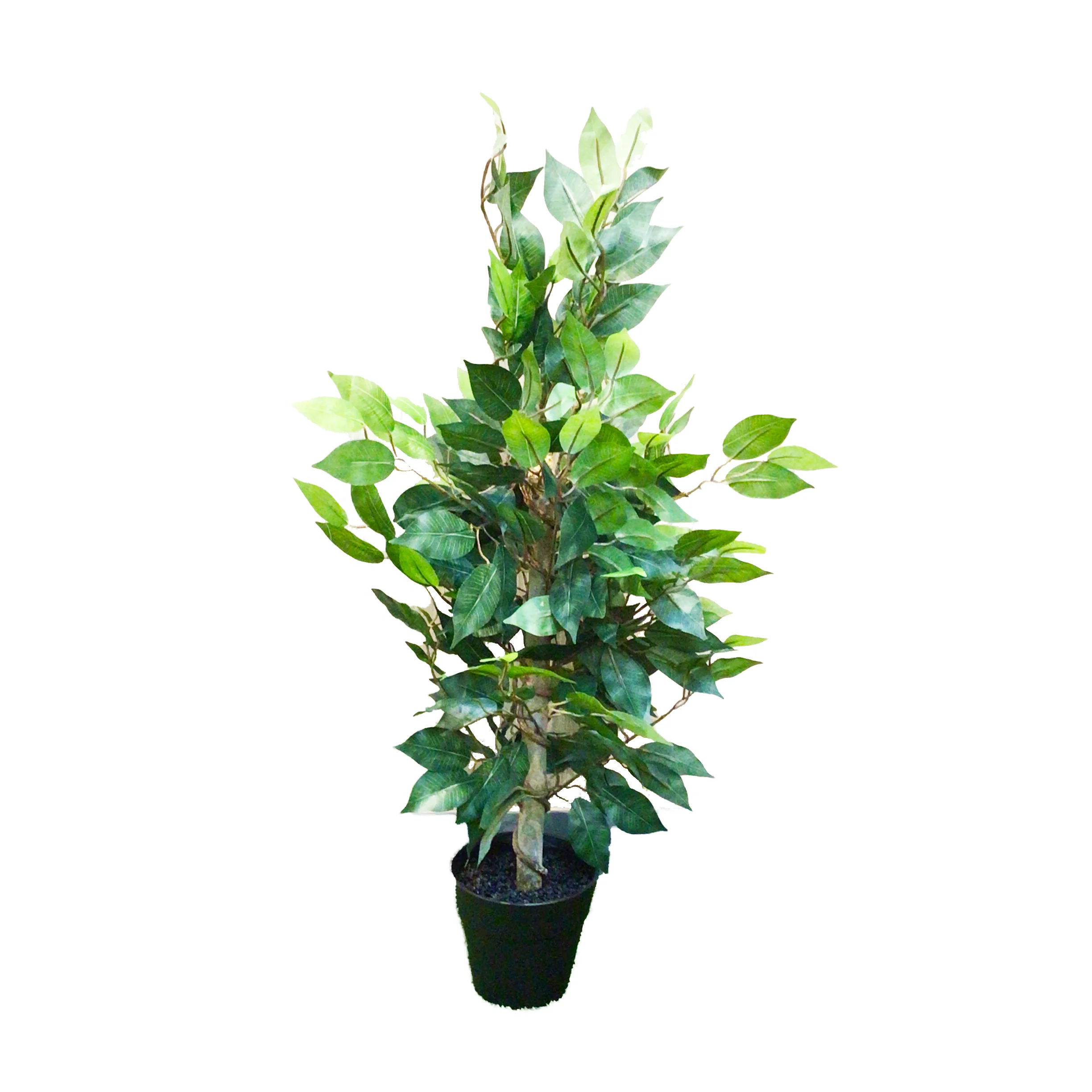 factory sale PE Green different styles season trees Banyan in plastic garden pots Department Stores Hallway home garden