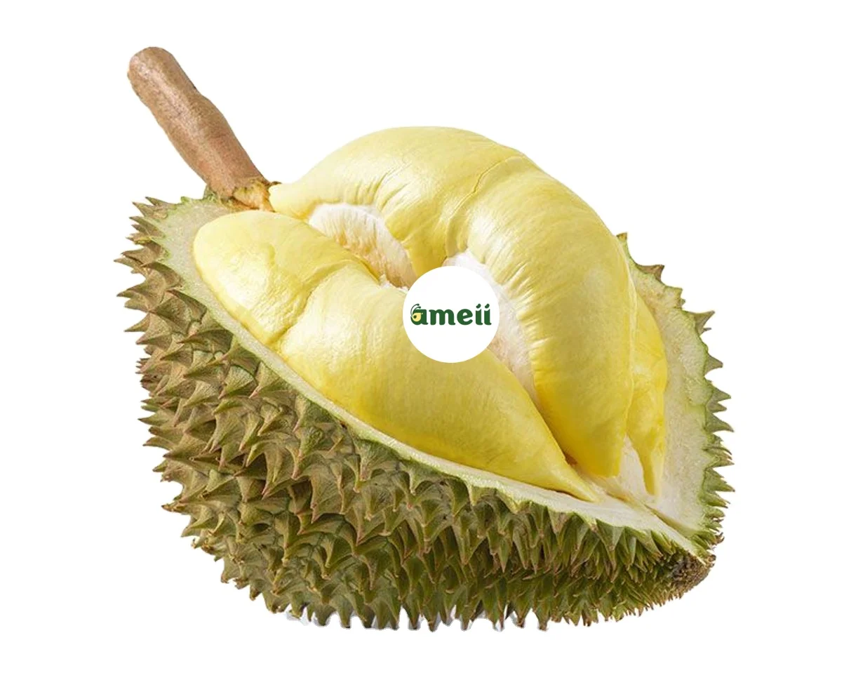 Fresh Delicious Ri6 Durian Vietnam Creamy Sweet Durian