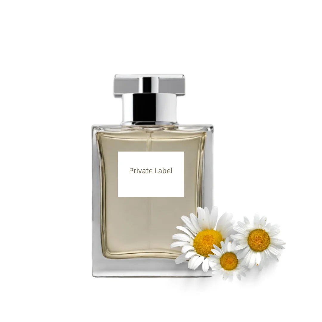 Fully Customized Original Perfumes ODM Luxury Eau De Toilette Perfume For Celebration Banquet