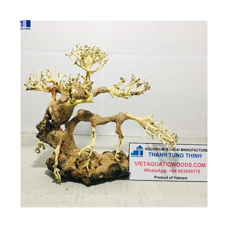 2024 Топ оптом бонсай коряги для аквариумных украшений WhatsApp: + 84 961005832