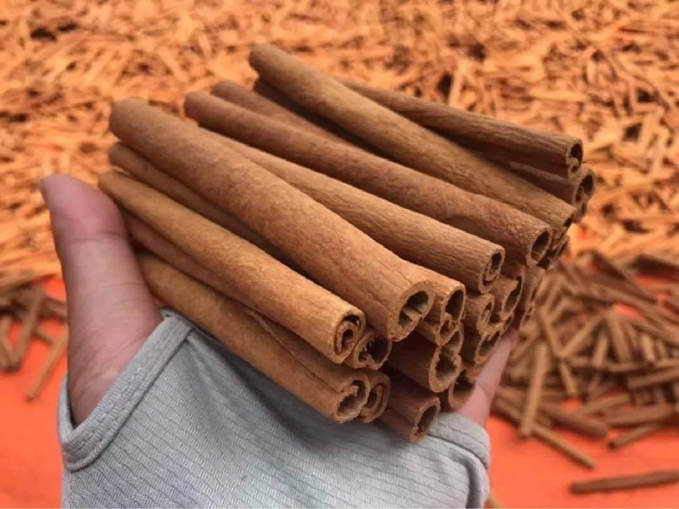 Custom Logo Package High Quality Good Price Low MOQ Cinnamon Rolls Sticks From Vietnam