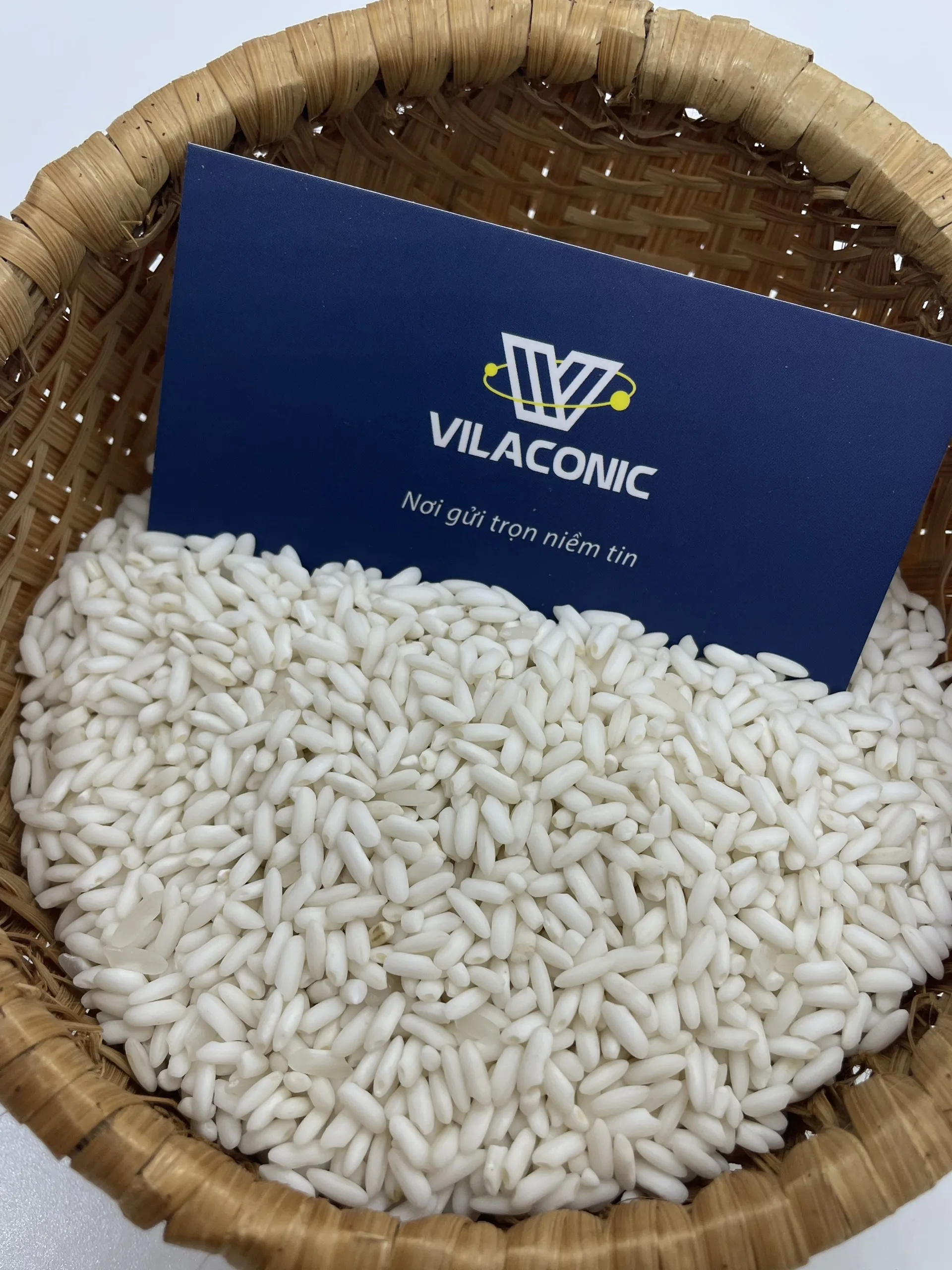 Long An Rice Young Sticky Rice / Glutinous Rice 10% Broken Price Vietnam Glutinous Rice  - ANNA DO W/A +84982153058