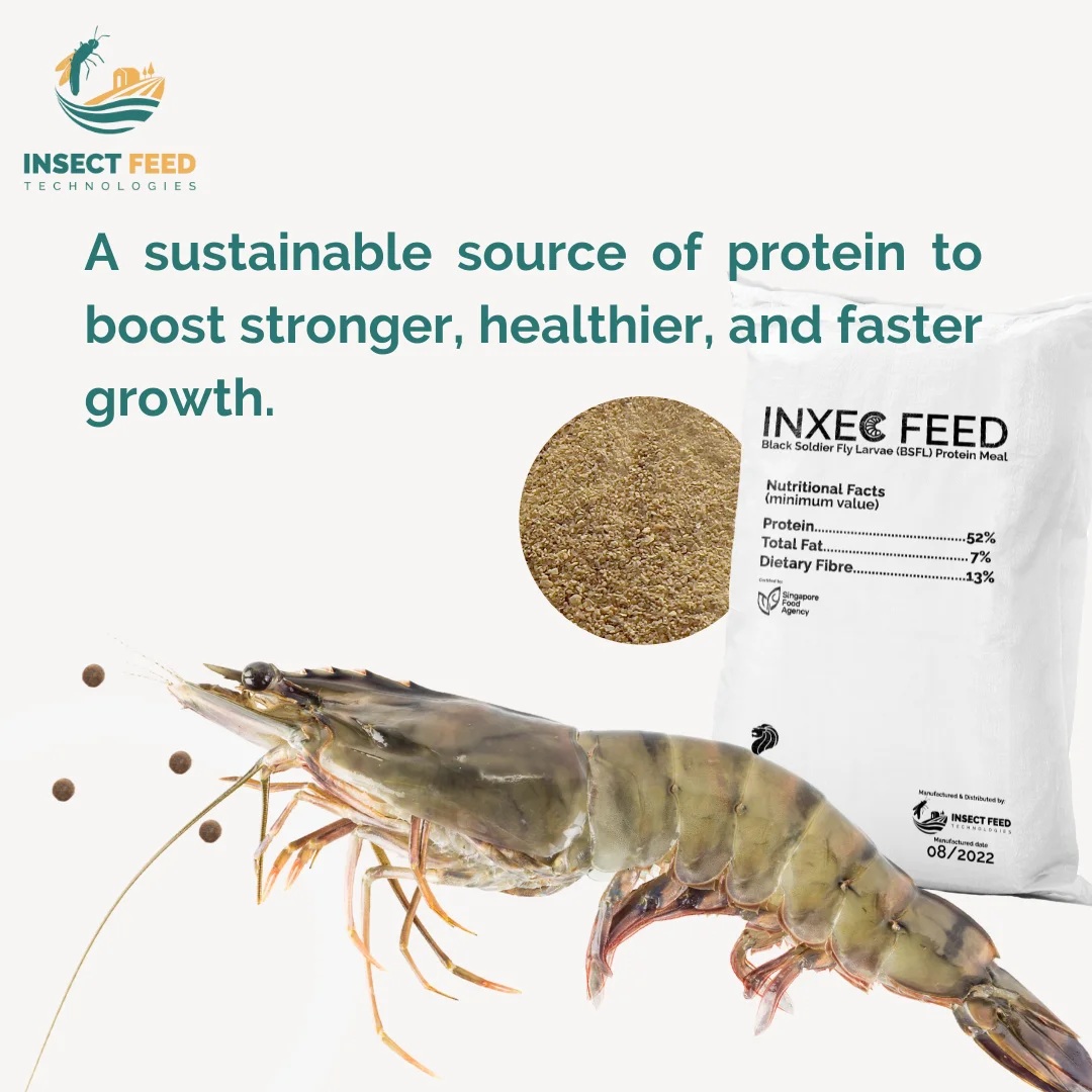 100% Well Prepared & Packaged Insect Meal Supplement Protein Powder 2kg Black Soldier Fly (Milled Larvae)
