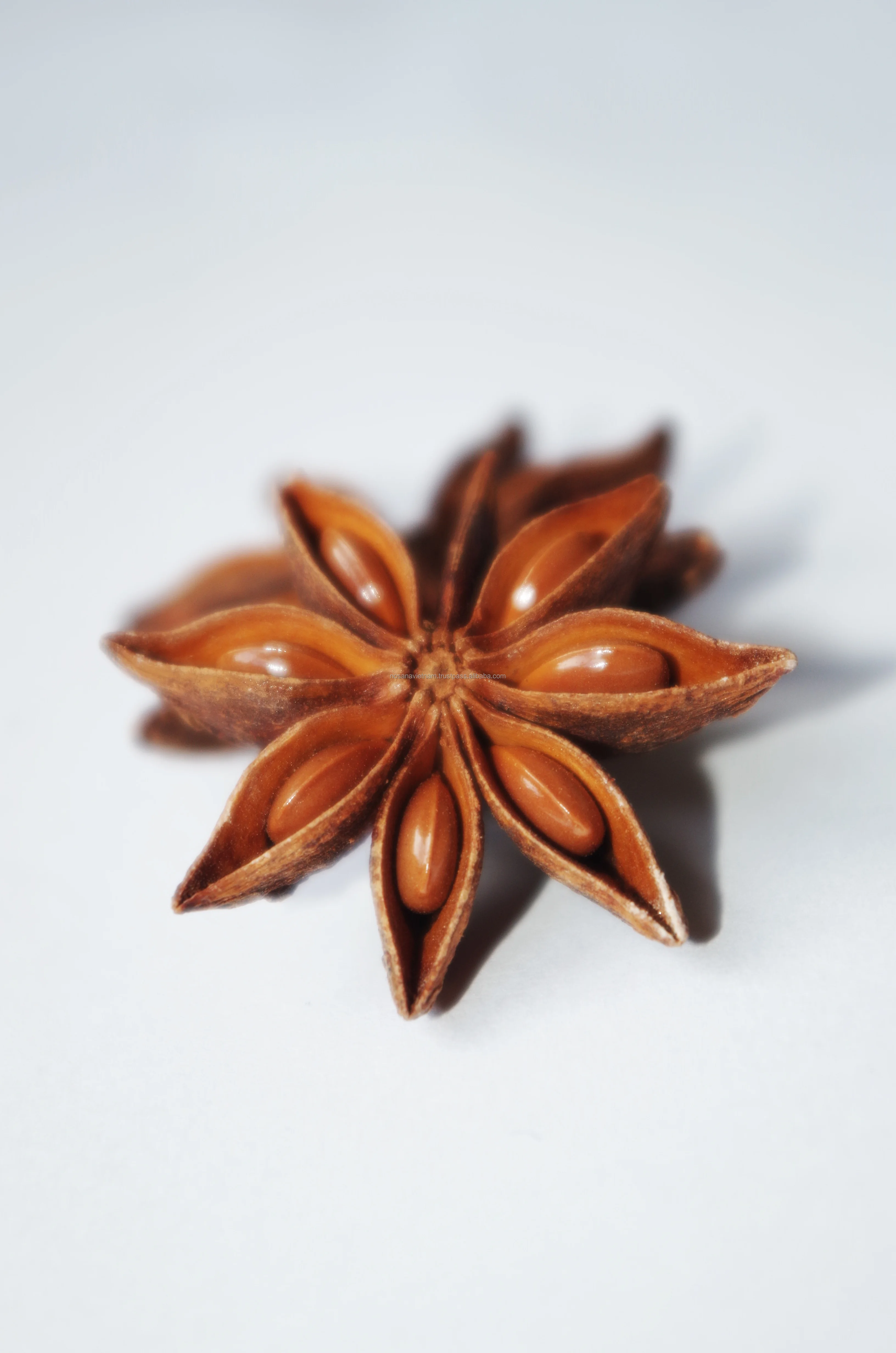Vietnam Natural Product Best Price High Quality Star Anise