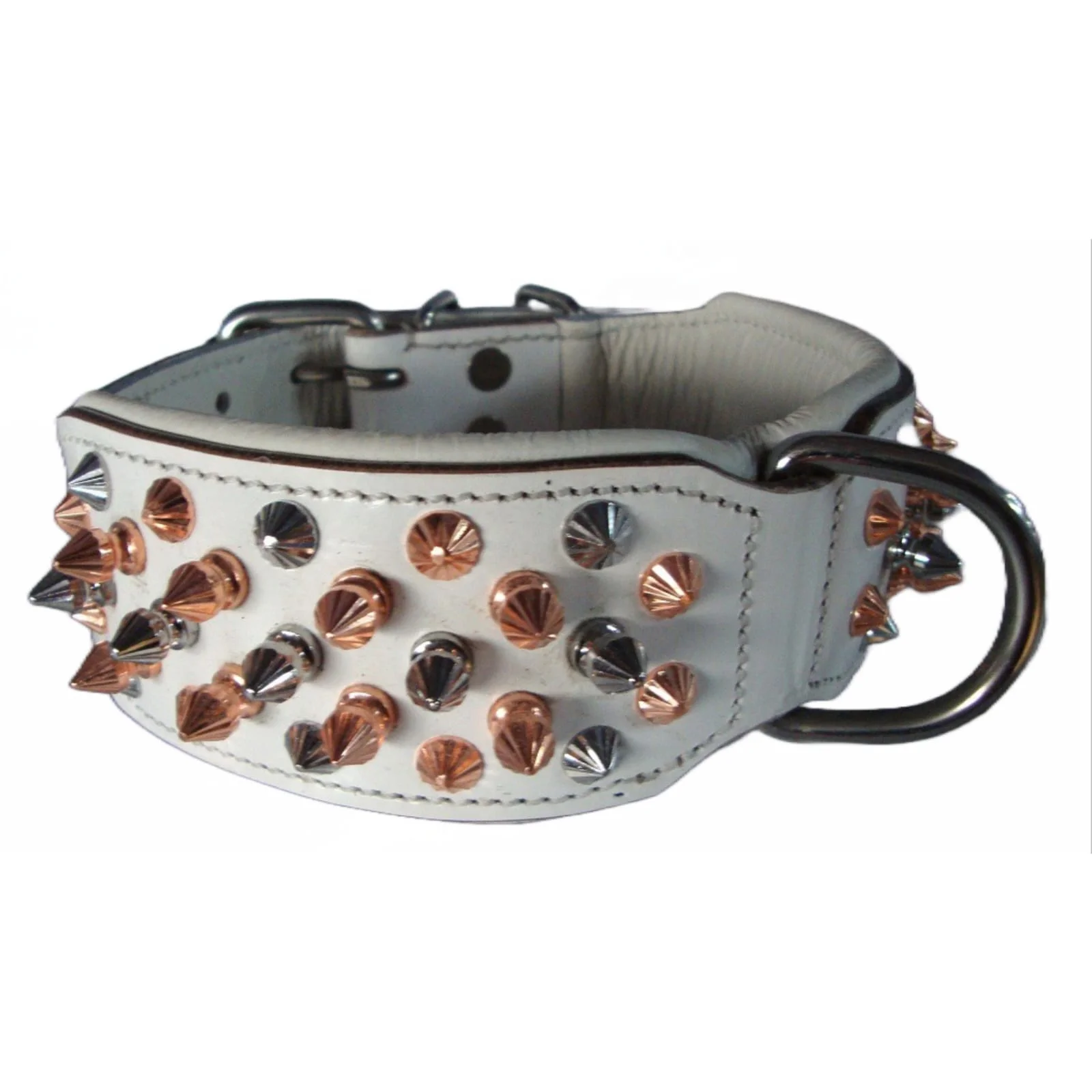 WhatsApp Image 2024-03-15 at 7.13.01 PM (1).jpeg