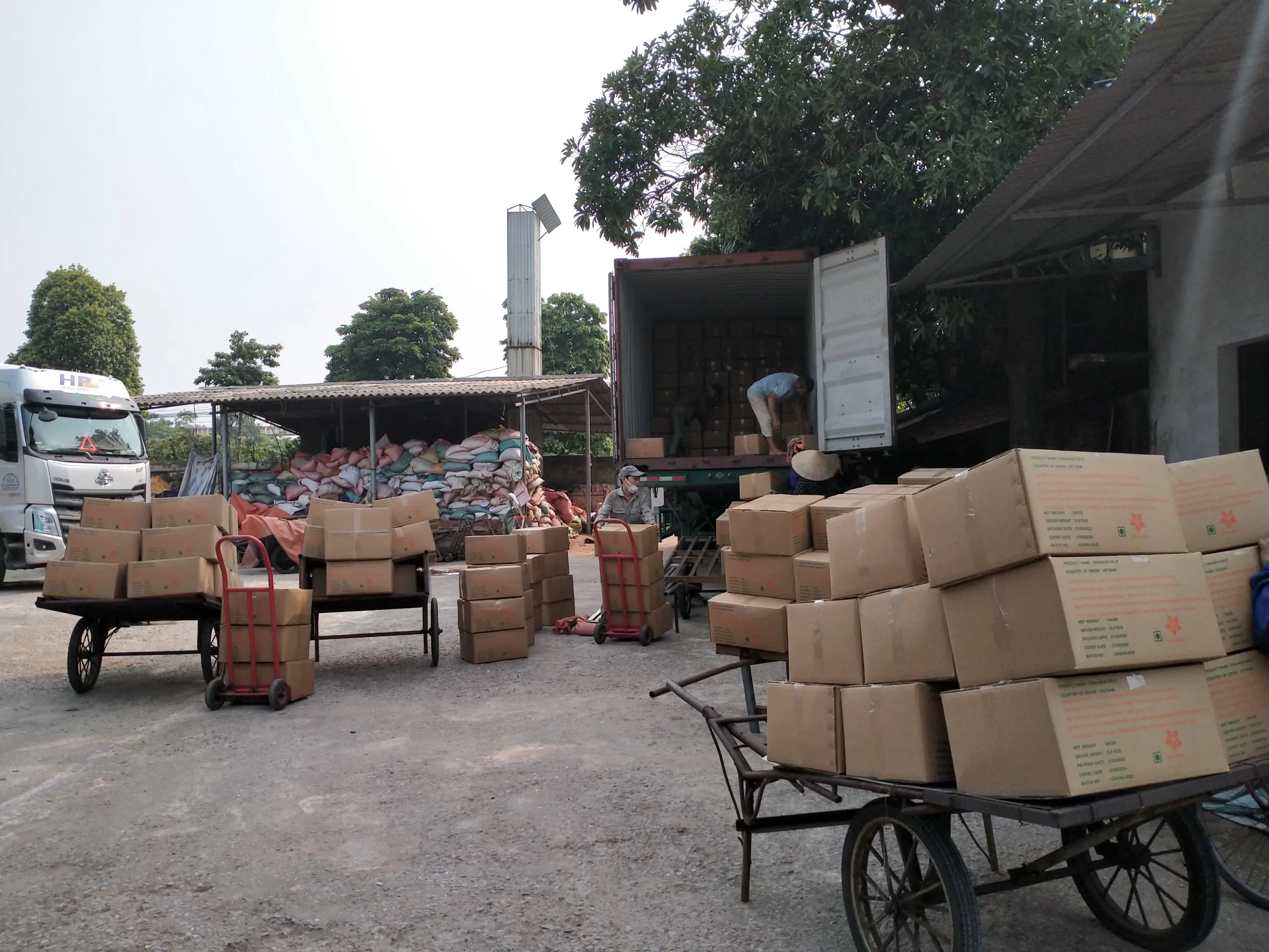 Cassia split Hot product spiece 100% Natural Dried Broken Cinnamon from Vietnam 2022 (+84 393 411 961)