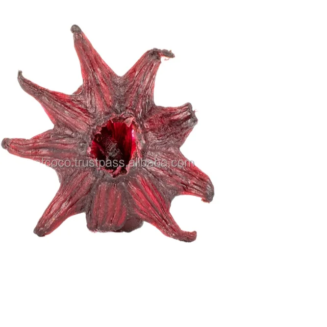 The Good Quality, Competitive Price, Healthy Snack Soft Dried Hibiscus Sabdariffa Tea Retail Bulk Design Packing
