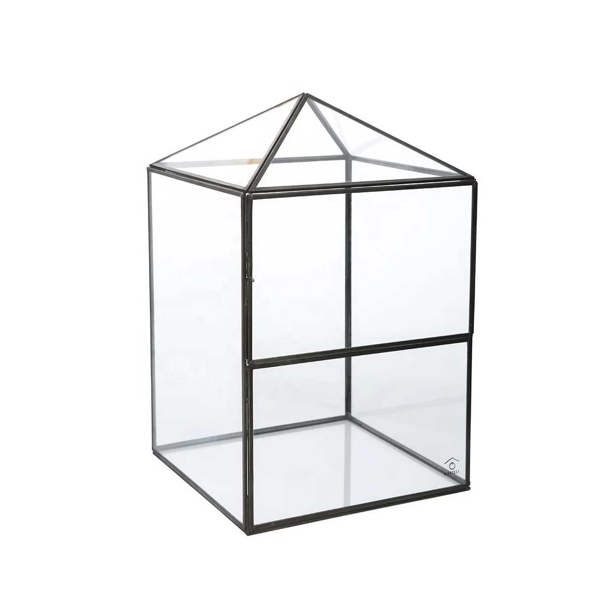 Elegant Design For Home Decoration Cage Bonsai Terrarium For Succulent Plant Handicraft Supplier From India