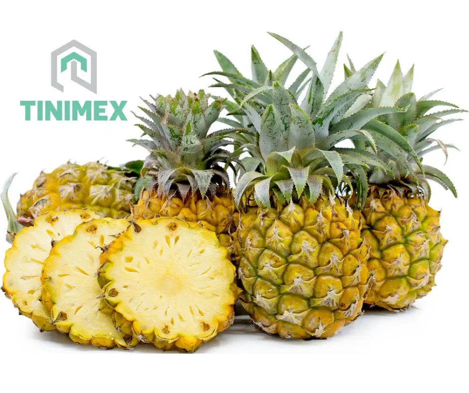 EXPORT FRESH PINEAPPLE/PINEAPPLE MD2/PINEAPPLE CAYENNE FROM VIETNAM